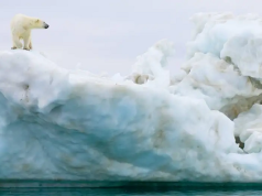 El Ártico podría quedarse sin hielo dentro de diez años