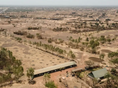 «Letal» ola de calor fue causada por el ser humano