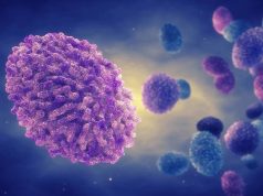 Hallan nueva cepa mutante de viruela del mono