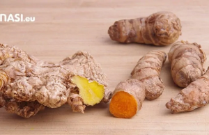 La Cúrcuma, Oro en polvo