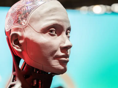 Crean robot con tejido cerebral humano
