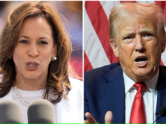 Harris y Trump compiten por siete estados