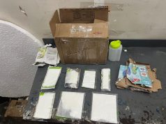 Impiden envío a EE.UU. de 23 láminas de cocaína