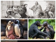 Mojiganguiando el sábado… ¿Por qué algo huele mal en Dinamarca?