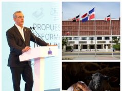 Reforma Constitucional… Razonando