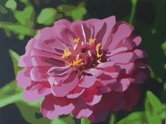 Poema: «El jardinero y la rosa»… Miércoles de Poesía