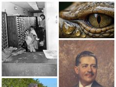 El Síndrome de Estocolmo… Mojiganguiando el sábado