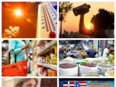 Canasta Básica de alimentos por las nubes… Caminando y masticando