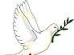 Aboguemos por la paz, no a la guerra