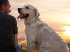 Mojiganguiando el sábado… El perro, amigo y servidor del hombre