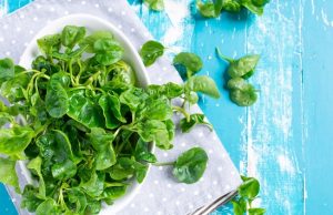 Nombran al berro como la verdura más saludable