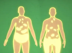 Células guardan «memoria» de la obesidad