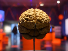 Seis deseos científicos para 2025