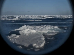 Según la ONU, 2024 fue el año más caluroso jamás registrado