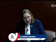 Diputada dice modificación ley 118-21 es un «monumento a la corrupción»