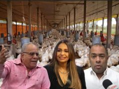 Pequeños productores de pollo denuncian trama