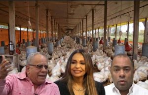 Pequeños productores de pollo denuncian trama
