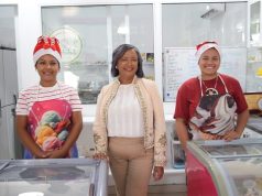 ArteHelado: Dulce Tradición Artesanal que encanta al paladar