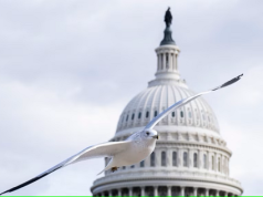 Republicanos enfrentan desafíos pese a controlar el Congreso y la Casa Blanca