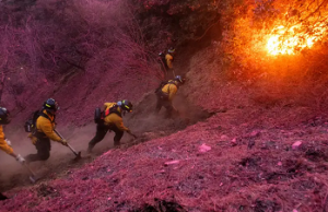 Los Ángeles en peligro de más incendios por fuertes vientos
