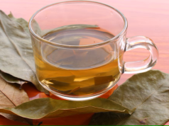 ¿Qué pasa si tomo té de hojas de guanábana todos los días?