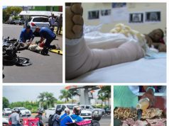 Mojiganguiando el sábado…Los paticos feos de navidad