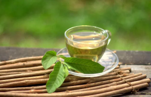 12 beneficios de la hoja de guayaba