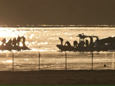 No hay sobrevivientes colisión avión comercial y helicóptero cerca de Washington