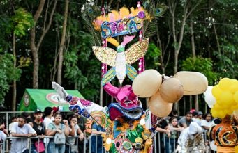 Carnaval de Santiago: un segundo domingo exitoso y de unión familiar