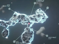 Estudio: Sistema inmunitario controla niveles de azúcar en sangre