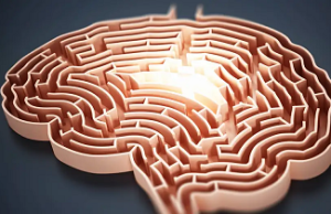 Hallan el mecanismo cerebral que desata la creatividad
