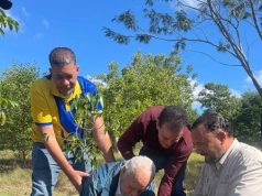 Ramón de Luna siembra un árbol en su 93 cumpleaños