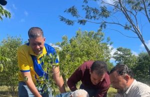 Ramón de Luna siembra un árbol en su 93 cumpleaños