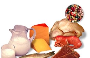 Las proteínas en la dieta