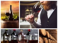 El mundo del vino… Mojiganguiando el sábado
