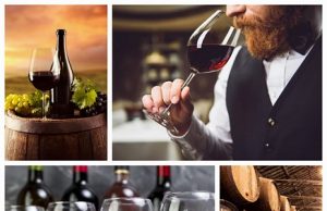 El mundo del vino… Mojiganguiando el sábado