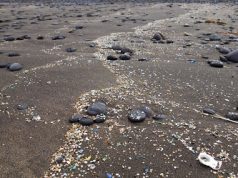 Microplásticos amenazan a millones de personas