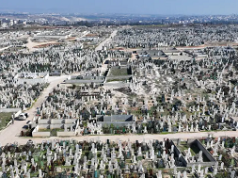 Estudio: la violencia deja marcas genéticas por generaciones