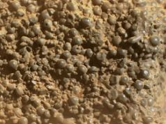 Misterio en Marte: hallan extraña roca cubierta de esferas