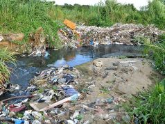 Un penoso cabalgar, río Yaque del Norte
