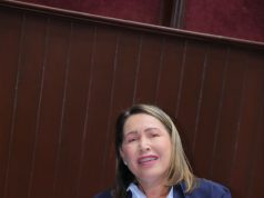 Diputada FP solicita paralización del Teleférico de Santiago