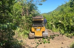 Ecologistas apoyan decisión de suspender carretera clandestina