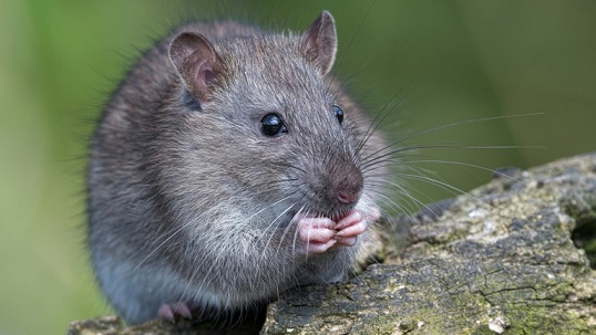 67ebaf592030271be9748621