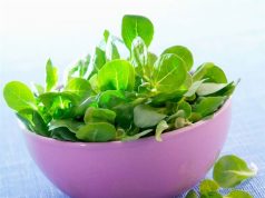 La verdolaga no es cualquier cosa… Mojiganguiando el Sábado