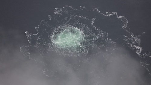 6819afaf20302729f31026a8