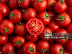 Las 10 propiedades del tomate que debes conocer