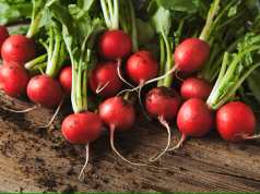 Rábanos: propiedades, beneficios y contraindicaciones