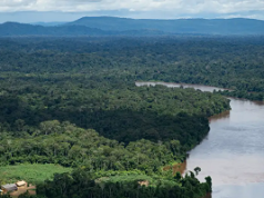 El mercurio en los ríos se ha duplicado