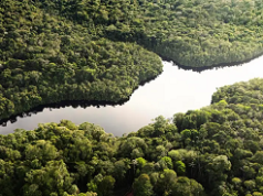 El Niño y la biodiversidad: científicos estudian su impacto