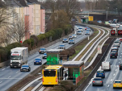 Ruido excesivo puede enfermar y causar muerte prematura